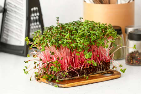 Wooden board with fresh micro green on table in kitchenの写真素材