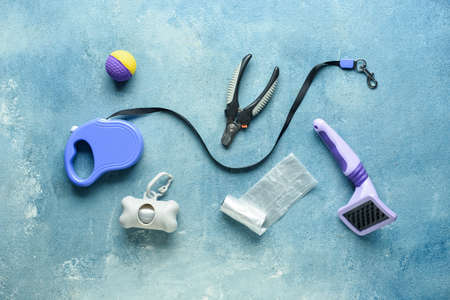 Set of different pet care accessories with waste bags on blue backgroundの写真素材