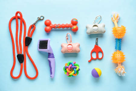 Set of different pet care accessories with waste bags on color backgroundの写真素材