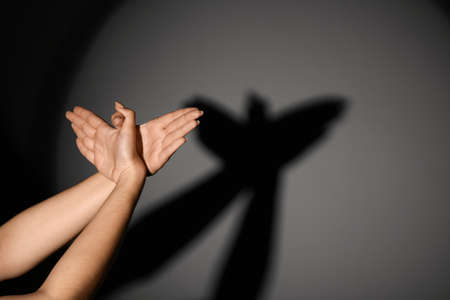 Woman making shadow bird with her hands on dark backgroundの写真素材