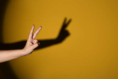Woman performing a shadow play on color backgroundの写真素材