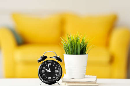 Alarm clock and houseplant in light room with blurred sofa on background