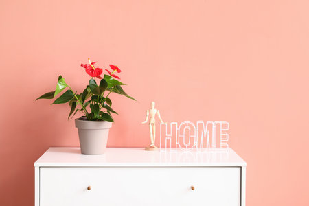 Anthurium flower, wooden mannequin doll and word HOME on chest of drawers near color wallの写真素材