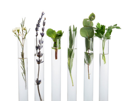 Test tubes with natural essential oils on white backgroundの写真素材