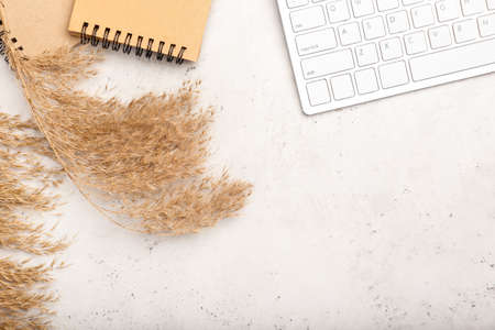 Dry reeds, keyboard and notepad on light backgroundの写真素材