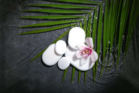 Spa stones with orchid flower and tropical leaf in waterの写真素材