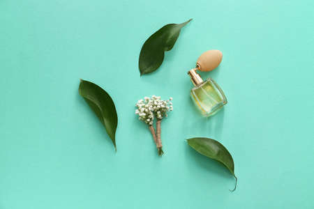 Beautiful gypsophila boutonnieres, bottle of perfume and leaves on color backgroundの写真素材