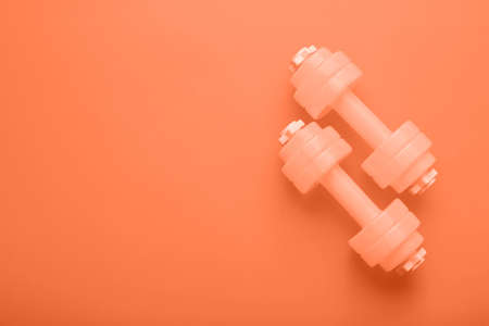 Pair of dumbbells on orange background with space for textの写真素材