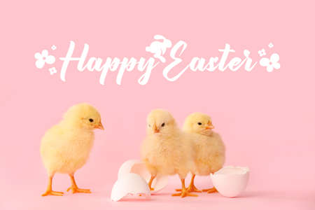 Easter greeting card with cute chickensの写真素材