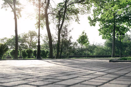 View of beautiful alley in park on spring dayの写真素材