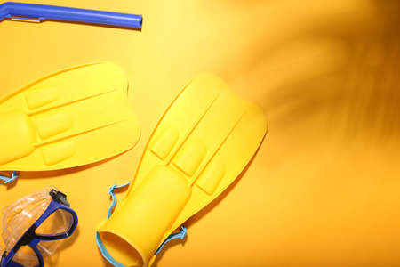 Flippers, snorkeling mask and tube on color background