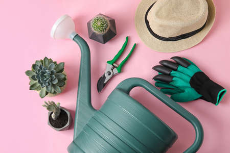 Composition with watering can, houseplants, hat and gardening tools on color backgroundの写真素材