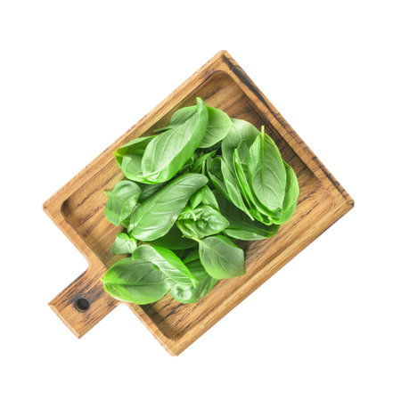 Board with fresh basil leaves on white backgroundの写真素材