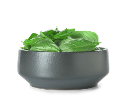 Bowl with fresh basil leaves on white backgroundの写真素材