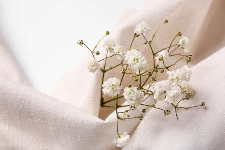 Beautiful gypsophila flowers and fabric on white backgroundの写真素材