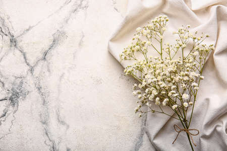Beautiful gypsophila flowers on light background