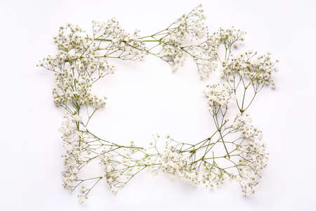 Frame made of beautiful gypsophila flowers on white background