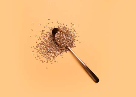Spoon with flax seeds on color backgroundの写真素材