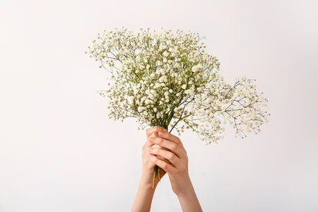 Female hands with beautiful gypsophila flowers on white backgroundの写真素材