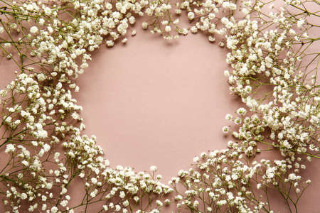 Frame made of beautiful gypsophila flowers on color background
