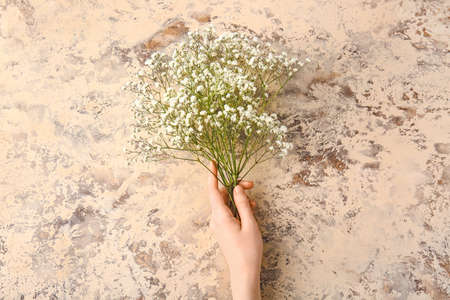 Female hand with beautiful gypsophila flowers on color backgroundの写真素材