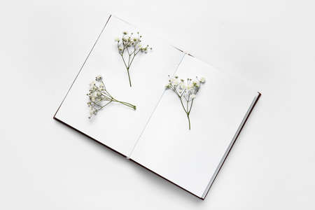 Blank book and beautiful gypsophila flowers on white background