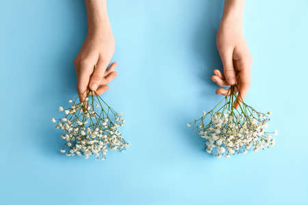 Female hands with beautiful gypsophila flowers on color backgroundの写真素材