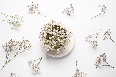 Cup with beautiful gypsophila flowers on white backgroundの写真素材