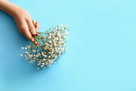 Female hand with beautiful gypsophila flowers on color backgroundの写真素材