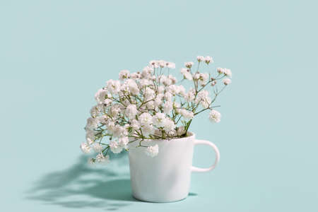 Cup with beautiful gypsophila flowers on color backgroundの写真素材