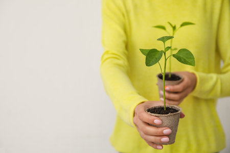 Woman holding plants seedlings in peat pots on light backgroundの写真素材