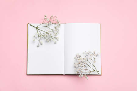 Beautiful gypsophila flowers and blank book on color backgroundの写真素材