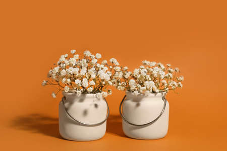 Vases with beautiful gypsophila flowers on color backgroundの写真素材