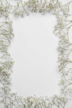 Frame made of beautiful gypsophila flowers on color backgroundの写真素材