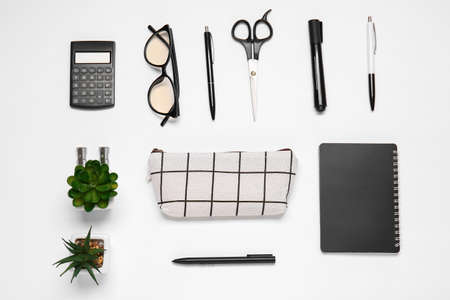 Composition with pencil case, eyeglasses, stationery and houseplants on white background