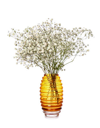 Stylish vase with beautiful gypsophila flowers isolated on white backgroundの写真素材