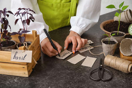 Woman writing name of young seedlings on paper sheet, closeup