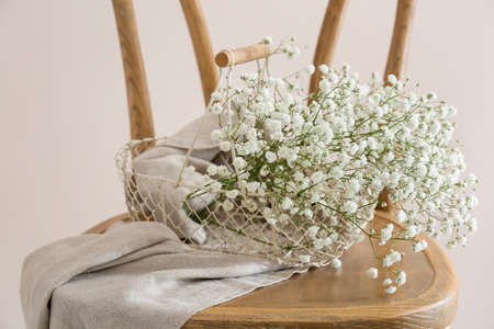 Beautiful gypsophila flowers and fabric on chair near color wall, closeupの写真素材