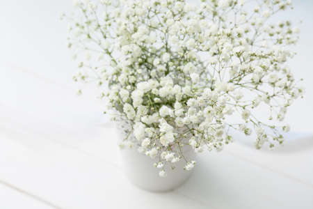 Vase with beautiful gypsophila flowers on light wooden background, closeupの写真素材