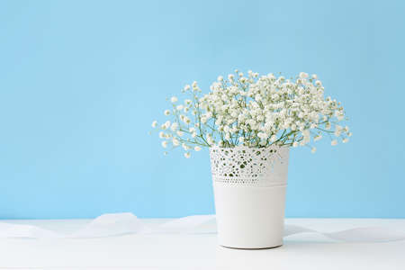 Vase with beautiful gypsophila flowers on table near color wallの写真素材