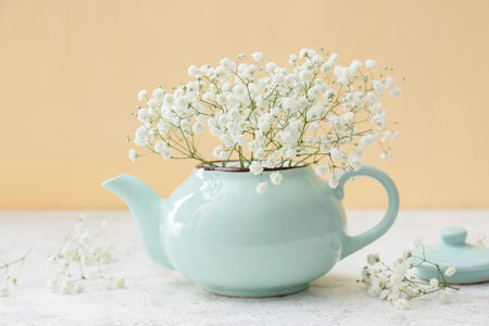 Teapot with beautiful gypsophila flowers on table near color wall, closeupの写真素材