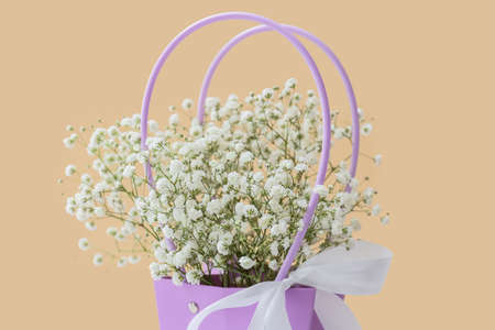 Bouquet of beautiful gypsophila flowers on color background, closeup