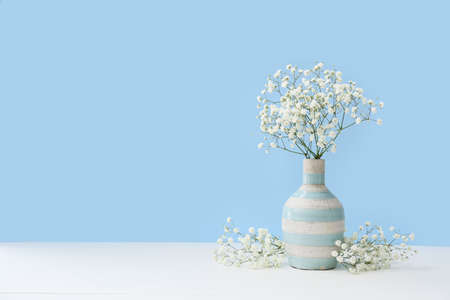 Vase with beautiful gypsophila flowers on table near color wallの写真素材