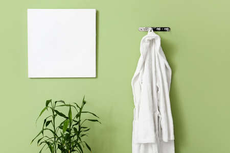Blank poster and white bathrobe hanging on green wall