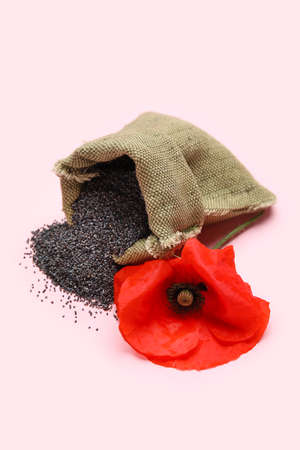 Bag with poppy seeds and flower on color backgroundの写真素材