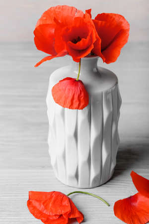 Beautiful red poppy flowers on light wooden backgroundの写真素材