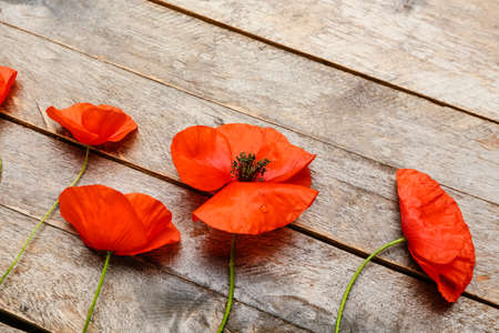 Beautiful red poppy flowers on wooden backgroundの写真素材
