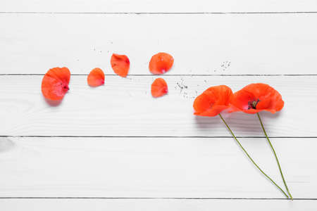 Beautiful red poppy flowers on light wooden background