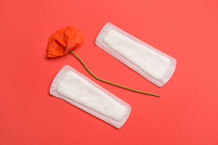 Menstrual pads and poppy flower on red backgroundの写真素材