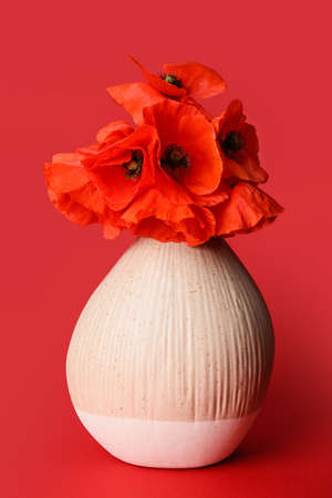 Vase with beautiful red poppy flowers on color backgroundの写真素材
